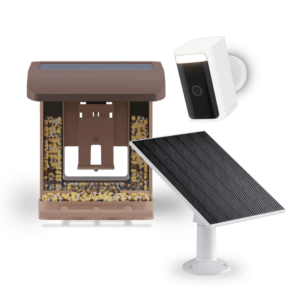 Bird Feeder Wireless Camera Bundle